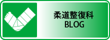 柔道整復科ブログ